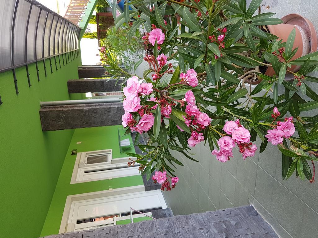 Apartman Taktik Вельки-Медер Экстерьер фото